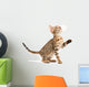 Bengal Kitten Wall Decal