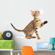 Bengal Kitten Wall Decal