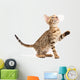 Bengal Kitten Wall Decal