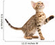 Bengal Kitten Wall Decal