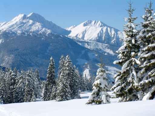 Alpine Snow Scene Wall Decal