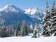 Alpine Snow Scene Wall Decal