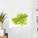 Fresh celery / cut-up celery new Wall Decal