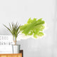 Fresh celery / cut-up celery new Wall Decal