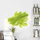 Fresh celery / cut-up celery new Wall Decal