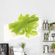 Fresh celery / cut-up celery new Wall Decal