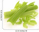 Fresh celery / cut-up celery new Wall Decal