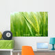 Grain Wall Decal