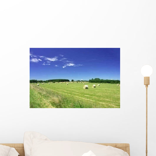 Field Summer with Straw Wall Decal
