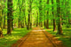 Alley Park Wall Decal