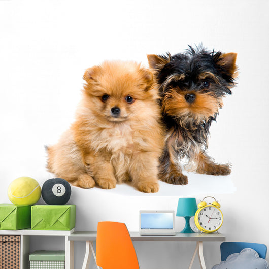 Two Puppies Wall Decal