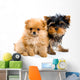 Two Puppies Wall Decal
