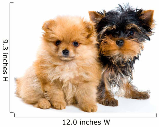 Two Puppies Wall Decal
