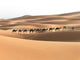 Caravans Sahara Wall Decal