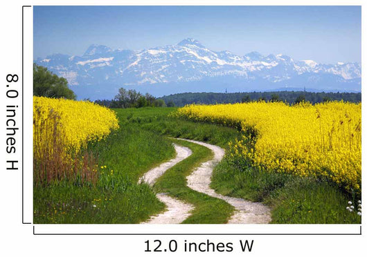 Rape Field and Alps Wall Decal
