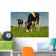 Cows Grazing Wall Decal