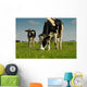 Cows Grazing Wall Decal