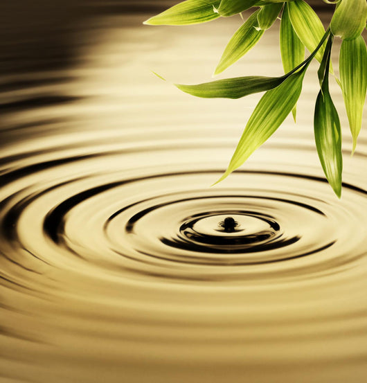 Fresh Bamboo Leaves over Wall Decal Design 1