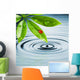 Ladybug Sitting on a Green Leaf Wall Mural
