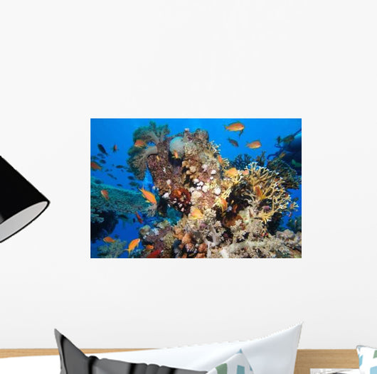 Colors Nature Wall Decal