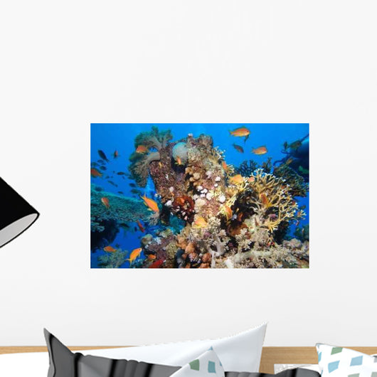 Colors Nature Wall Decal