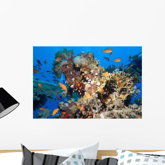 Colors Nature Wall Decal