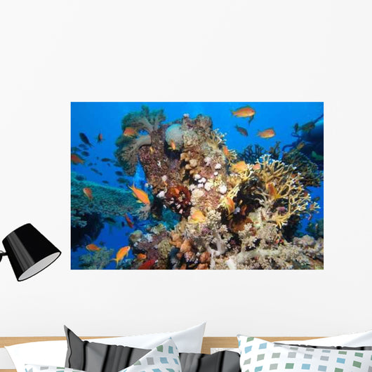 Colors Nature Wall Decal