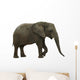 Elephant Wall Decal Design 2