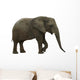Elephant Wall Decal Design 2