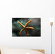 Etoile Mer Wall Decal