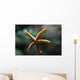 Etoile Mer Wall Decal