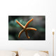 Etoile Mer Wall Decal