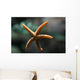 Etoile Mer Wall Decal