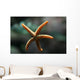 Etoile Mer Wall Decal