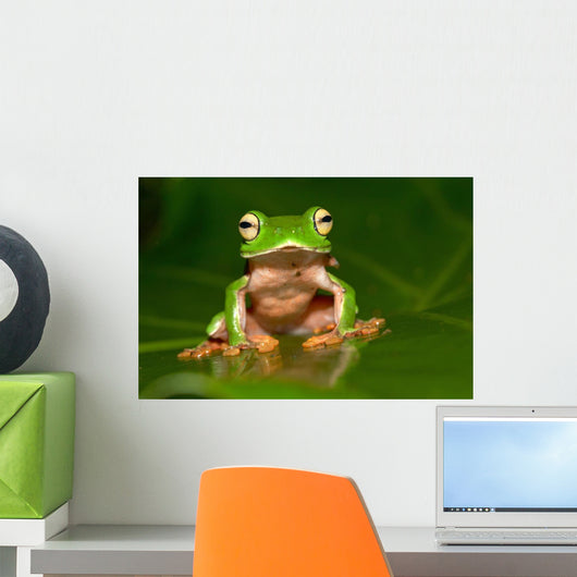 Tree Frog Wall Decal Design 1