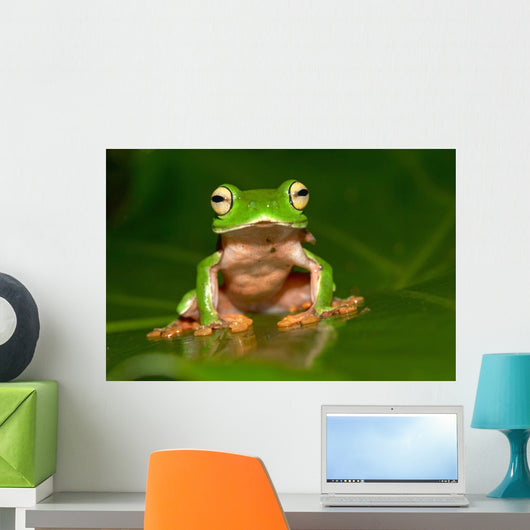 Tree Frog Wall Decal Design 1