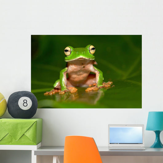 Tree Frog Wall Decal Design 1