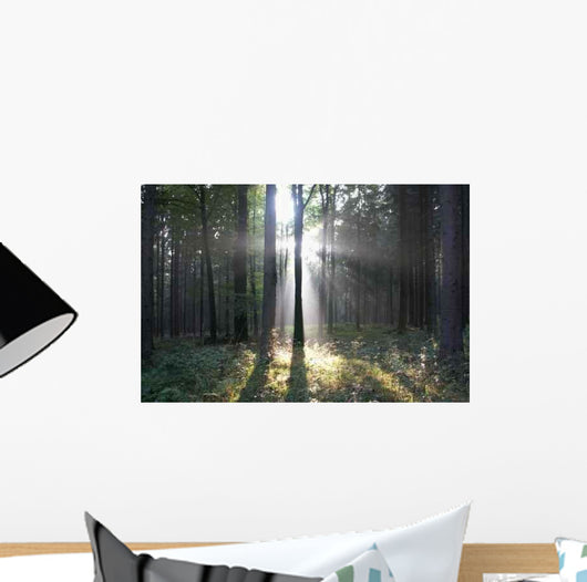 Forest Wall Decal Design 3