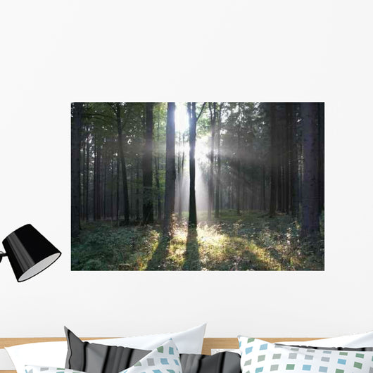 Forest Wall Decal Design 3