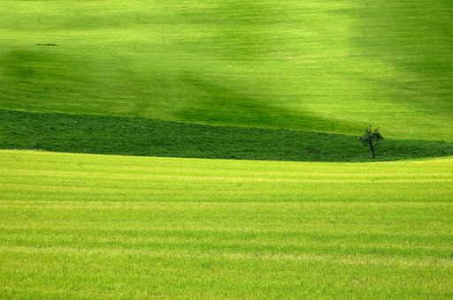 Pasture Wall Decal Design 1