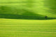 Pasture Wall Decal Design 1