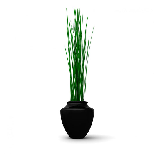Potted Tall Grasses Wall Decal