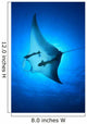 Manta Ray Wall Decal