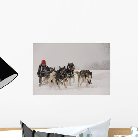 Dog Sledding Wall Decal