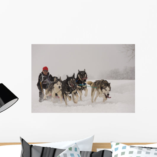 Dog Sledding Wall Decal