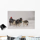 Dog Sledding Wall Decal
