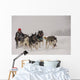 Dog Sledding Wall Decal