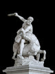 Hercules and Centaur Wall Decal