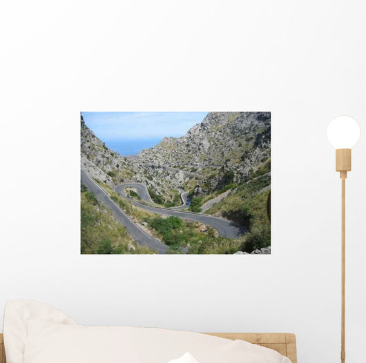 Serpentine Wall Decal