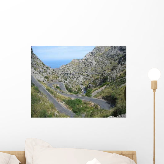 Serpentine Wall Decal